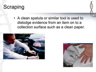 Scraping
• A clean spatula or similar tool is used to
dislodge evidence from an item on to a
collection surface such as a clean paper.
 