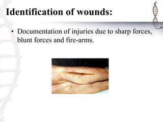 Identification of wounds:
• Documentation of injuries due to sharp forces,
blunt forces and fire-arms.
 