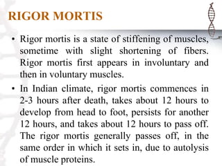 RIGOR MORTIS
• Rigor mortis is a state of stiffening of muscles,
sometime with slight shortening of fibers.
Rigor mortis first appears in involuntary and
then in voluntary muscles.
• In Indian climate, rigor mortis commences in
2-3 hours after death, takes about 12 hours to
develop from head to foot, persists for another
12 hours, and takes about 12 hours to pass off.
The rigor mortis generally passes off, in the
same order in which it sets in, due to autolysis
of muscle proteins.
 
