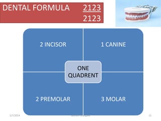 Case study
10/6/2016 12saurabh bhargava
 