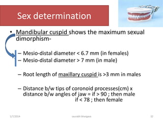 Carnivores
Carnivores share special adaptations
for life as predators.
32
Canine
Incisor
Molar
10/6/2016 saurabh bhargava
• Large slicing canines for piercing the skin
of prey, and for cutting and chewing
meat
• Pointed incisors for tearing flesh
• Even the cusps on a carnivore’s molars
are high and pointed, because these
teeth too are used in tearing and
chewing flesh.
• Long roots on all teeth so that they are
well anchored for working on the tough
food material
• Carnivores also have front facing eyes,
heavy skulls that support the large
muscles needed to work the jaws, and
jaws that are very strong but that move
only up and down, not from side to side.
 