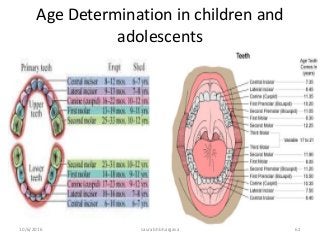 10/6/2016 saurabh bhargava 62
Age Determination in children and
adolescents
 