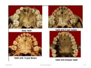 10/6/2016 saurabh bhargava 64
 