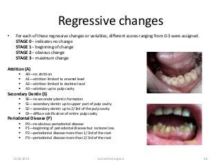 Regressive changes
• For each of these regressive changes or variables, different scores ranging from 0-3 were assigned.
STAGE 0 – indicates no change
STAGE 1 – beginning of change
STAGE 2 – obvious change
STAGE 3 – maximum change
Attrition (A)
 A0—no attrition
 A1—attrition limited to enamel level
 A2—attrition limited to dentine level
 A3—attrition up to pulp cavity
Secondary Dentin (S)
 S0—no secondary dentin formation
 S1—secondary dentin up to upper part of pulp cavity
 S2—secondary dentin up to 2/3rd of the pulp cavity
 S3—diffuse calcification of entire pulp cavity
Periodontal Disease (P)
 P0—no obvious periodontal disease
 P1—beginning of periodontal disease but no bone loss
 P2—periodontal disease more than 1/3rd of the root
 P3—periodontal disease more than 2/3rd of the root
10/6/2016 saurabh bhargava 66
 