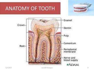 • American Society of Forensic Dentistry (1970).
• International Society for Forensic Odonto-
stomatology (1976).
• Similar organizations exist in various countries.
10/6/2016 8saurabh bhargava
 