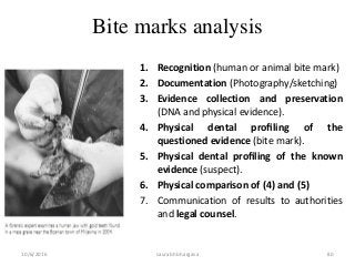 10/6/2016 saurabh bhargava 80
Bite marks analysis
1. Recognition (human or animal bite mark)
2. Documentation (Photography/sketching)
3. Evidence collection and preservation
(DNA and physical evidence).
4. Physical dental proﬁling of the
questioned evidence (bite mark).
5. Physical dental proﬁling of the known
evidence (suspect).
6. Physical comparison of (4) and (5)
7. Communication of results to authorities
and legal counsel.
 