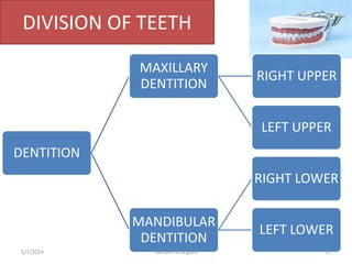 Parameters to be compared..
1. Teeth.
2. Prosthetic appliance– bridges, partials,
crown, false teeth.
3. Shape, form (morp...