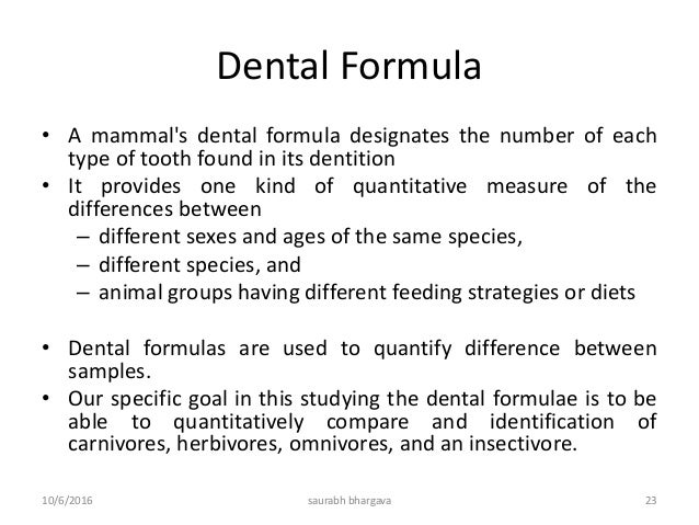 dental formula forensic odontology dental formula forensic odontology