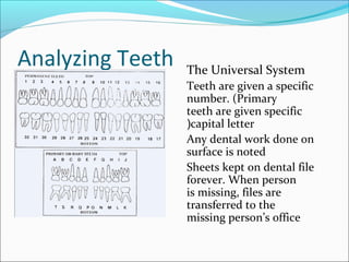 Analyzing Teeth The Universal System
Teeth are given a specific
number. (Primary
teeth are given specific
capital letter(
Any dental work done on
surface is noted
Sheets kept on dental file
forever. When person
is missing, files are
transferred to the
missing person’s office
 