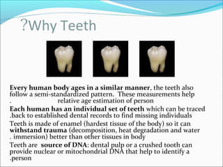 Why Teeth?
Every human body ages in a similar manner, the teeth also
follow a semi-standardized pattern. These measurements help
relative age estimation of person.
Each human has an individual set of teeth which can be traced
back to established dental records to find missing individuals.
Teeth is made of enamel (hardest tissue of the body) so it can
withstand trauma (decomposition, heat degradation and water
immersion) better than other tissues in body.
Teeth are source of DNA: dental pulp or a crushed tooth can
provide nuclear or mitochondrial DNA that help to identify a
person.
 