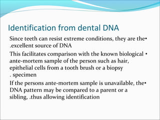 Identification from dental DNA
•Since teeth can resist extreme conditions, they are the
excellent source of DNA.
•This facilitates comparison with the known biological
ante-mortem sample of the person such as hair,
epithelial cells from a tooth brush or a biopsy
specimen.
•If the persons ante-mortem sample is unavailable, the
DNA pattern may be compared to a parent or a
sibling, .thus allowing identification
 
