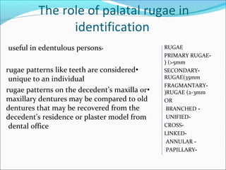 The role of palatal rugae in
identification
•useful in edentulous persons
•rugae patterns like teeth are considered
unique to an individual
•rugae patterns on the decedent’s maxilla or
maxillary dentures may be compared to old
dentures that may be recovered from the
decedent’s residence or plaster model from
dental office
RUGAE
-PRIMARY RUGAE
(>5mm(
-SECONDARY
RUGAE(35mm
-FRAGMANTARY
RUGAE (2-3mm(
OR
-BRANCHED
-UNIFIED
-CROSS
-LINKED
-ANNULAR
-PAPILLARY
 