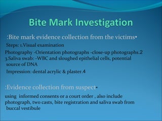•Bite mark evidence collection from the victims:
Steps: 1.Visual examination
2.Photography -Orientation photographs -close-up photographs
3.Saliva swab: -WBC and sloughed epithelial cells, potential
source of DNA
4.Impression: dental acrylic & plaster
•Evidence collection from suspect:
using informed consents or a court order , also include
photograph, two casts, bite registration and saliva swab from
buccal vestibule
 