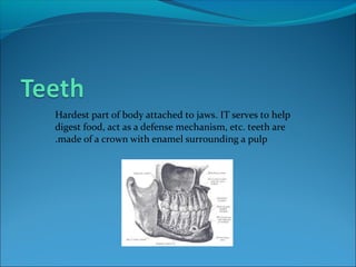 Hardest part of body attached to jaws. IT serves to help
digest food, act as a defense mechanism, etc. teeth are
made of a crown with enamel surrounding a pulp.
 