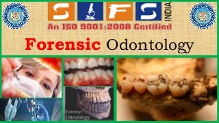 Forensic Odontology
 