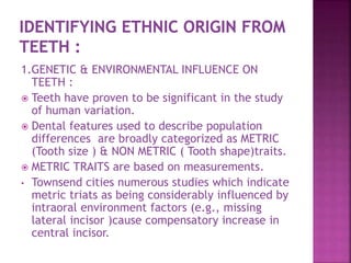 1.GENETIC & ENVIRONMENTAL INFLUENCE ON
TEETH :
 Teeth have proven to be significant in the study
of human variation.
 Dental features used to describe population
differences are broadly categorized as METRIC
(Tooth size ) & NON METRIC ( Tooth shape)traits.
 METRIC TRAITS are based on measurements.
• Townsend cities numerous studies which indicate
metric triats as being considerably influenced by
intraoral environment factors (e.g., missing
lateral incisor )cause compensatory increase in
central incisor.
 