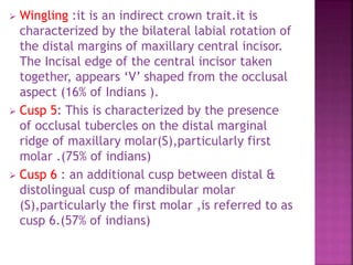  Wingling :it is an indirect crown trait.it is
characterized by the bilateral labial rotation of
the distal margins of maxillary central incisor.
The Incisal edge of the central incisor taken
together, appears ‘V’ shaped from the occlusal
aspect (16% of Indians ).
 Cusp 5: This is characterized by the presence
of occlusal tubercles on the distal marginal
ridge of maxillary molar(S),particularly first
molar .(75% of indians)
 Cusp 6 : an additional cusp between distal &
distolingual cusp of mandibular molar
(S),particularly the first molar ,is referred to as
cusp 6.(57% of indians)
 