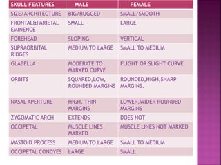 SKULL FEATURES MALE FEMALE
SIZE/ARCHITECTURE BIG/RUGGED SMALL/SMOOTH
FRONTAL&PARIETAL
EMINENCE
SMALL LARGE
FOREHEAD SLOPING VERTICAL
SUPRAORBITAL
RIDGES
MEDIUM TO LARGE SMALL TO MEDIUM
GLABELLA MODERATE TO
MARKED CURVE
FLIGHT OR SLIGHT CURVE
ORBITS SQUARED,LOW,
ROUNDED MARGINS
ROUNDED,HIGH,SHARP
MARGINS.
NASAL APERTURE HIGH, THIN
MARGINS
LOWER,WIDER ROUNDED
MARGINS
ZYGOMATIC ARCH EXTENDS DOES NOT
OCCIPETAL MUSCLE LINES
MARKED
MUSCLE LINES NOT MARKED
MASTOID PROCESS MEDIUM TO LARGE SMALL TO MEDIUM
OCCIPETAL CONDYES LARGE SMALL
 