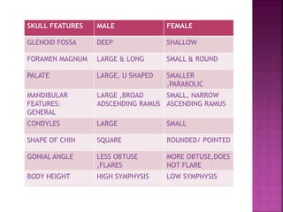 SKULL FEATURES MALE FEMALE
GLENOID FOSSA DEEP SHALLOW
FORAMEN MAGNUM LARGE & LONG SMALL & ROUND
PALATE LARGE, U SHAPED SMALLER
,PARABOLIC
MANDIBULAR
FEATURES:
GENERAL
LARGE ,BROAD
ADSCENDING RAMUS
SMALL, NARROW
ASCENDING RAMUS
CONDYLES LARGE SMALL
SHAPE OF CHIN SQUARE ROUNDED/ POINTED
GONIAL ANGLE LESS OBTUSE
,FLARES
MORE OBTUSE,DOES
NOT FLARE
BODY HEIGHT HIGH SYMPHYSIS LOW SYMPHYSIS
 