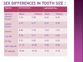 TOOTH BUCCOLINGUAL: MESIODISTAL:
MAXILLA
Central
incisor:
Lateral
incisor:
Canine:
1rst PM:
2ND PM:
1RST MOLAR:
2ND MOLAR:
MALE: FEMALE: MALE: FEMALE
7.24 7.09 8.42 8.29
6.35 6.27 6.61 8.50
8.80 7.76 7.63 7.41
9.26 9.11 6.81 6.82
9.23 9.05 6.42 6.55
11.16 10.83 9.85 9.80
10.86 10.52 9.34 9.18
 