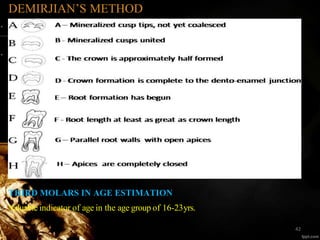 DEMIRJIAN’S METHOD
• Thedevelopment of sevenmandibular teeth on the left side was divided into eight
stageseach.
• Thesestages were named ‘A’to ‘H’,
THIRD MOLARS IN AGE ESTIMATION
• Valuable indicator of age in the age group of 16-23yrs.
42
 