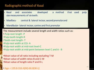 Radiographicmethodof Kvaal
• Kvaal and associates developed a method that used pulp
sizemeasurements of sixteeth.
• Maxillary- central & lateral incisor, secondpremolarand
• Mandibular- lateral incisor, canine and first premolar
The measurement include several length and width ratios such as:
• Pulp-root length -P
•Pulp-tooth length-R
•Tooth-root length -T
•Pulp-root width at CEJ- A
•Pulp-root width at mid-root level-C
•Pulp-root width at mid-point between level C and A - B
•Mean value of all ratio including excluding T-M
•Mean value of width ratios B and C-W
•Mean value of length ratio P and R-L
• Age = 129.8-316.4(M)-66.8(W-L)
47
 