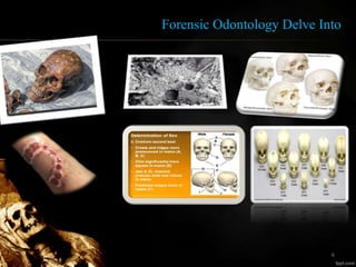 Forensic Odontology Delve Into
6
 