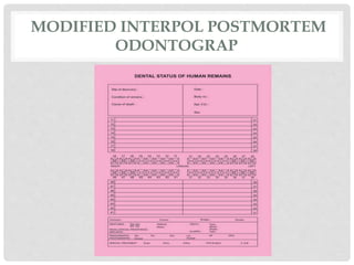 MODIFIED INTERPOL POSTMORTEM
ODONTOGRAP
 
