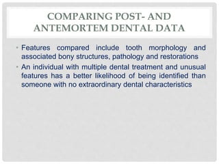 COMPARING POST- AND
ANTEMORTEM DENTAL DATA
• Features compared include tooth morphology and
associated bony structures, pathology and restorations
• An individual with multiple dental treatment and unusual
features has a better likelihood of being identified than
someone with no extraordinary dental characteristics
 