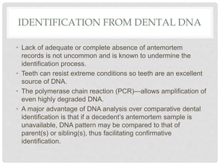 IDENTIFICATION FROM DENTAL DNA
• Lack of adequate or complete absence of antemortem
records is not uncommon and is known to undermine the
identification process.
• Teeth can resist extreme conditions so teeth are an excellent
source of DNA.
• The polymerase chain reaction (PCR)—allows amplification of
even highly degraded DNA.
• A major advantage of DNA analysis over comparative dental
identification is that if a decedent’s antemortem sample is
unavailable, DNA pattern may be compared to that of
parent(s) or sibling(s), thus facilitating confirmative
identification.
 