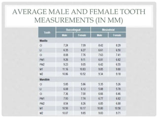 AVERAGE MALE AND FEMALE TOOTH
MEASUREMENTS (IN MM)
 