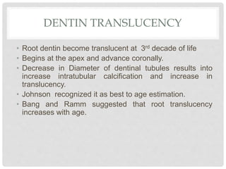 DENTIN TRANSLUCENCY
• Root dentin become translucent at 3rd decade of life
• Begins at the apex and advance coronally.
• Decrease in Diameter of dentinal tubules results into
increase intratubular calcification and increase in
translucency.
• Johnson recognized it as best to age estimation.
• Bang and Ramm suggested that root translucency
increases with age.
 