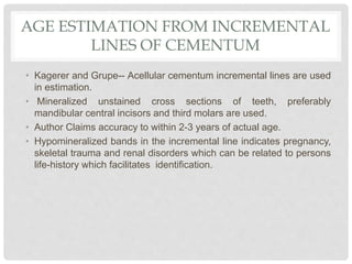 AGE ESTIMATION FROM INCREMENTAL
LINES OF CEMENTUM
• Kagerer and Grupe-- Acellular cementum incremental lines are used
in estimation.
• Mineralized unstained cross sections of teeth, preferably
mandibular central incisors and third molars are used.
• Author Claims accuracy to within 2-3 years of actual age.
• Hypomineralized bands in the incremental line indicates pregnancy,
skeletal trauma and renal disorders which can be related to persons
life-history which facilitates identification.
 