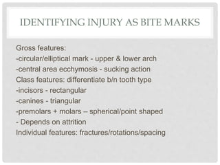 IDENTIFYING INJURY AS BITE MARKS
Gross features:
-circular/elliptical mark - upper & lower arch
-central area ecchymosis - sucking action
Class features: differentiate b/n tooth type
-incisors - rectangular
-canines - triangular
-premolars + molars – spherical/point shaped
- Depends on attrition
Individual features: fractures/rotations/spacing
 
