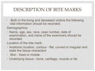 DESCRIPTION OF BITE MARKS
• Both in the living and deceased victims the following
vital information should be recorded.
Demographics:
• Name, age, sex, race, case number, date of
examination, and name of the examiners should be
recorded.
Location of the bite mark:
• Anatomic location, contour - flat, curved or irregular and
state the tissue characters
• Skin - fixed or mobile.
• Underlying tissue - bone, cartilage, muscle or fat.
 