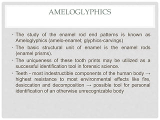 AMELOGLYPHICS
• The study of the enamel rod end patterns is known as
Ameloglyphics (amelo-enamel; glyphics-carvings)
• The basic structural unit of enamel is the enamel rods
(enamel prisms).
• The uniqueness of these tooth prints may be utilized as a
successful identification tool in forensic science.
• Teeth - most indestructible components of the human body →
highest resistance to most environmental effects like fire,
desiccation and decomposition → possible tool for personal
identification of an otherwise unrecognizable body
 