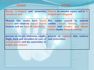 Broad, U-shaped and some­
what
circular or oval
Narrow in anterior aspect and is V-
shaped and elongated
Human bite marks have broad
central and relatively narrow lateral
incisors and are blunt & superficial.
Bite marks caused by animals
exhibit broad laterals, narrow
central and sharper and deeper
canine marks. Deep & tearing.
present on breast, abdomen, nipple,
thigh, back and shoulders in case of
sexual assault and the extremities in
a fight and violence
present on exposed skin surfaces
and extremities.
HUMAN ANIMAL
 