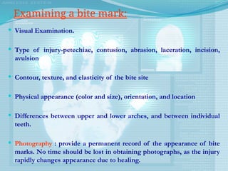  Visual Examination.
 Type of injury-petechiae, contusion, abrasion, laceration, incision,
avulsion
 Contour, texture, and elasticity of the bite site
 Physical appearance (color and size), orientation, and location
 Differences between upper and lower arches, and between individual
teeth.
 Photography : provide a permanent record of the appearance of bite
marks. No time should be lost in obtaining photographs, as the injury
rapidly changes appearance due to healing.
Examining a bite mark:
 