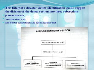  The Interpol's disaster victim identification guide suggest
the division of the dental section into three subsections-
 post­
mortem unit,
 ante-mortem unit,
 and dental comparison and identification unit.
 