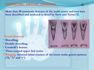 NONMETRIC DENTAL FEATURES
 More than 30 nonmetric features of the tooth crown and root have
been described and analyzed in detail by Scott and Turner II.
Crown Features
 Shovelling.
 Double shovelling.
 Carabelli's feature.
 Three-cusped upper 2nd molar.
 Winging- bilateral labial rotation of the lower molar groove pattern.
('X,' 'Y' and '+')
DP
 