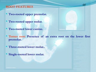 ROOT FEATURES
 Two-rooted upper premolar.
 Two-rooted upper molar.
 Two-rooted lower canine.
 Tomes root: Presence of an extra root on the lower first
premolar.
 Three-rooted lower molar..
 Single-rooted lower molar.
DP
 