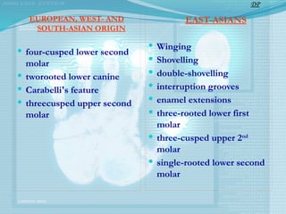 EUROPEAN, WEST- AND
SOUTH-ASIAN ORIGIN
 four-cusped lower second
molar
 two­
rooted lower canine
 Carabelli's feature
 three­
cusped upper second
molar
EAST-ASIANS
 Winging
 Shovelling
 double-shovelling
 interruption grooves
 enamel extensions
 three-rooted lower first
molar
 three-cusped upper 2nd
molar
 single-rooted lower second
molar
DP
 
