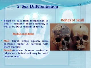 2. Sex Differentiation
 Based on data from morphology of
skull & mandible, metric features, as
well as by DNA analysis of teeth.
Skull & mandible:
 Male larger, orbits square, nasal
apertures higher & narrower with
sharp margins
 Female-forehead is more vertical so
ridges are min in size & may be much
more rounded
Bones of skull
DP
 
