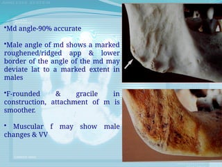 •Md angle-90% accurate
•Male angle of md shows a marked
roughened/ridged app & lower
border of the angle of the md may
deviate lat to a marked extent in
males
•F-rounded & gracile in
construction, attachment of m is
smoother.
• Muscular f may show male
changes & VV
 