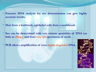  Forensic DNA analysis for sex determination can give highly
accurate results.
 Hair from a hairbrush, epithelial cells from a toothbrush
 Sex can be determined with very minute quantities of DNA (as
little as 1Opg), and from very old specimens of teeth.
 PCR allows amplification of even highly degraded DNA.
 