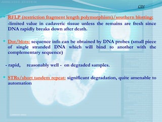  RFLP (restriction fragment length polymorphism)/southern blotting:
-limited value in cadaveric tissue unless the remains are fresh since
DNA rapidly breaks down after death.
 Dot/blots: sequence info can be obtained by DNA probes (small piece
of single stranded DNA which will bind to another with the
complementary sequence)
- rapid, reasonably well - on degraded samples.
 STRs/short tandem repeat: significant degradation, quite amenable to
automation
CDI
 