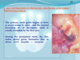 1. AGE ESTIMATION IN PRENATAL, NEONATAL AND EARLY
POSTNATAL CHILD.
 The primary tooth germ begins to form
at seven weeks in utero , and the enamel
formation of all deciduous teeth is
usually complete by the first year.
 Among the permanent teeth, the first
molar shows germ formation first at
about 3.5-4 months - accurate
DP
 