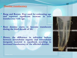 Dentine translucency
 Bang and Ramm- First used for estimating age
and reported significant increase in root
translucency with age.
 Root dentine starts to become translucent
during the third decade of life .
 Hence, the difference in refractive indices
between intratubular organic and extratubular
inorganic material is equalized, resulting in
increased translucency of the affected dentine.
DP
 