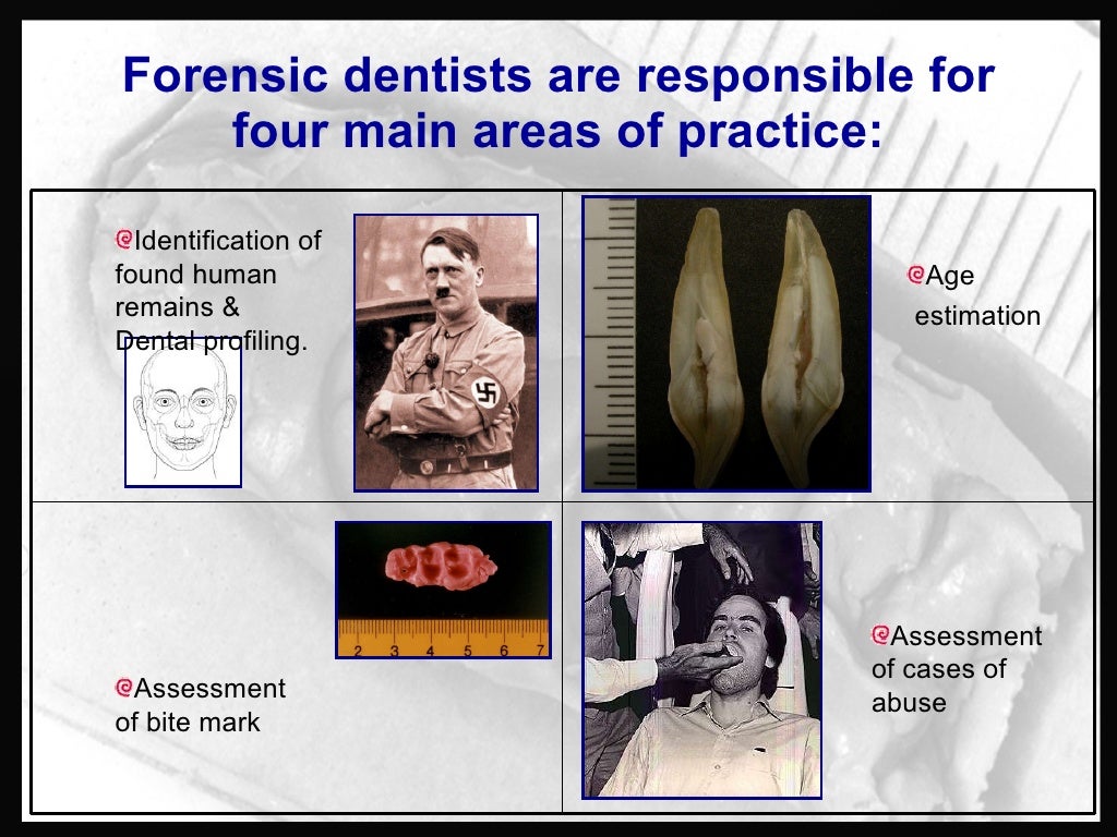 Forensic Odontology Dentistry