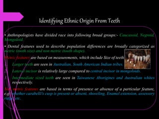 Identifying Ethnic Origin From Teeth
• Anthropologists have divided race into following broad groups:- Caucasoid, Negroid,
Mongoloid.
• Dental features used to describe population differences are broadly categorized as
metric (tooth size) and non metric (tooth shape).
Metric features are based on measurements, which include Size of teeth
1. Larger teeth are seen in Australian, South American Indian tribes.
2. Lateral incisor is relatively large compared to central incisor in mongoloids.
3. Intermediate sized teeth are seen in Taiwanese Aborigines and Australian whites
respectively.
Non metric features are based in terms of presence or absence of a particular feature,
e.g: whether carabelli's cusp is present or absent, shoveling, Enamel extension, assessory
ridge, etc.
 